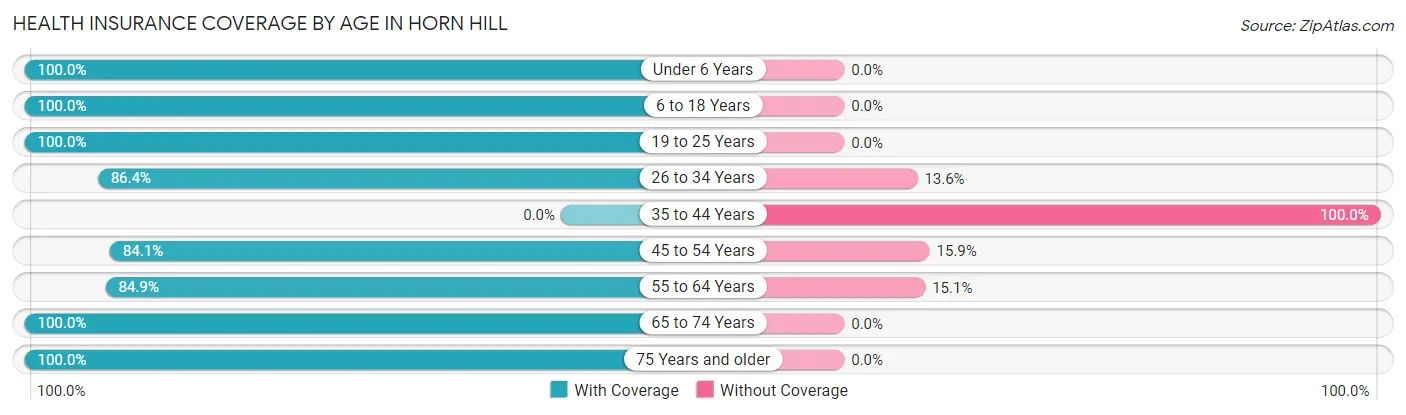 Health Insurance Coverage by Age in Horn Hill