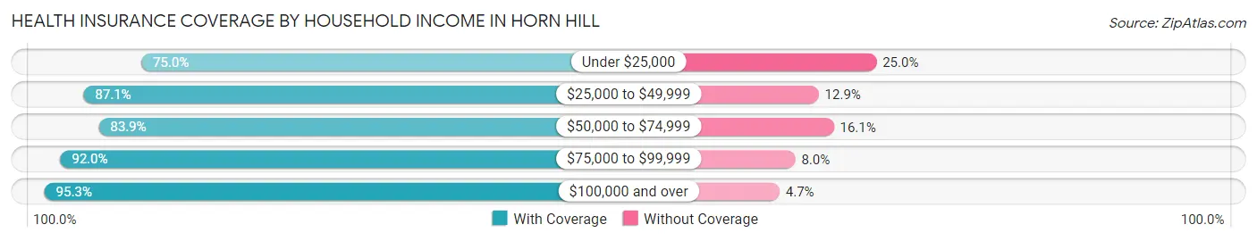Health Insurance Coverage by Household Income in Horn Hill