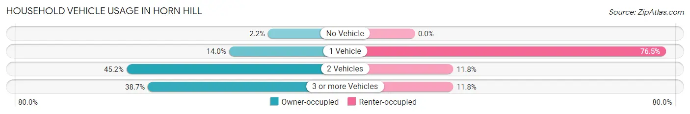 Household Vehicle Usage in Horn Hill