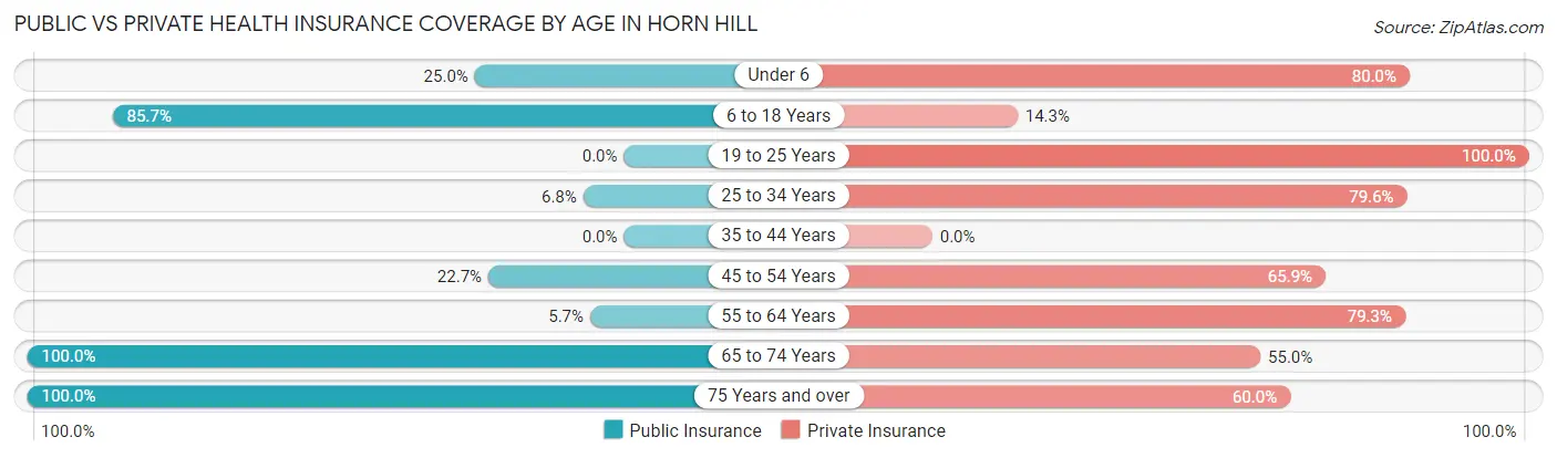 Public vs Private Health Insurance Coverage by Age in Horn Hill