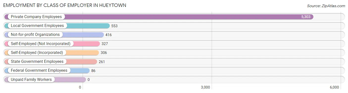 Employment by Class of Employer in Hueytown