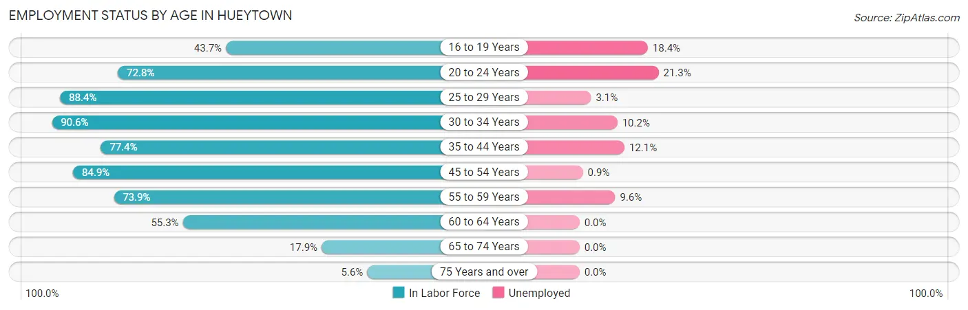 Employment Status by Age in Hueytown