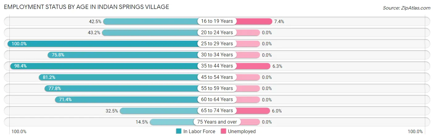 Employment Status by Age in Indian Springs Village