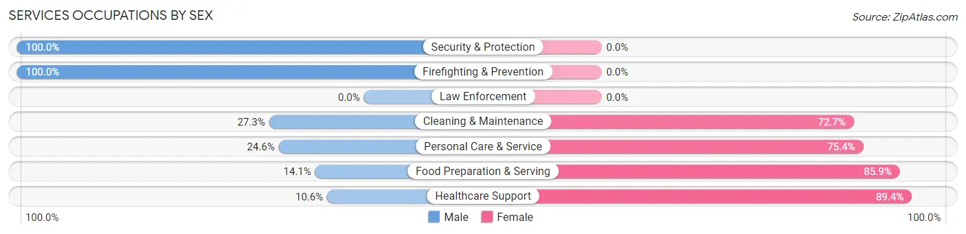 Services Occupations by Sex in Irondale