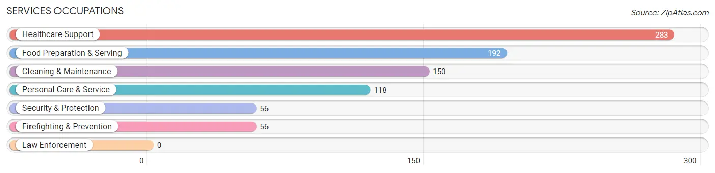 Services Occupations in Irondale