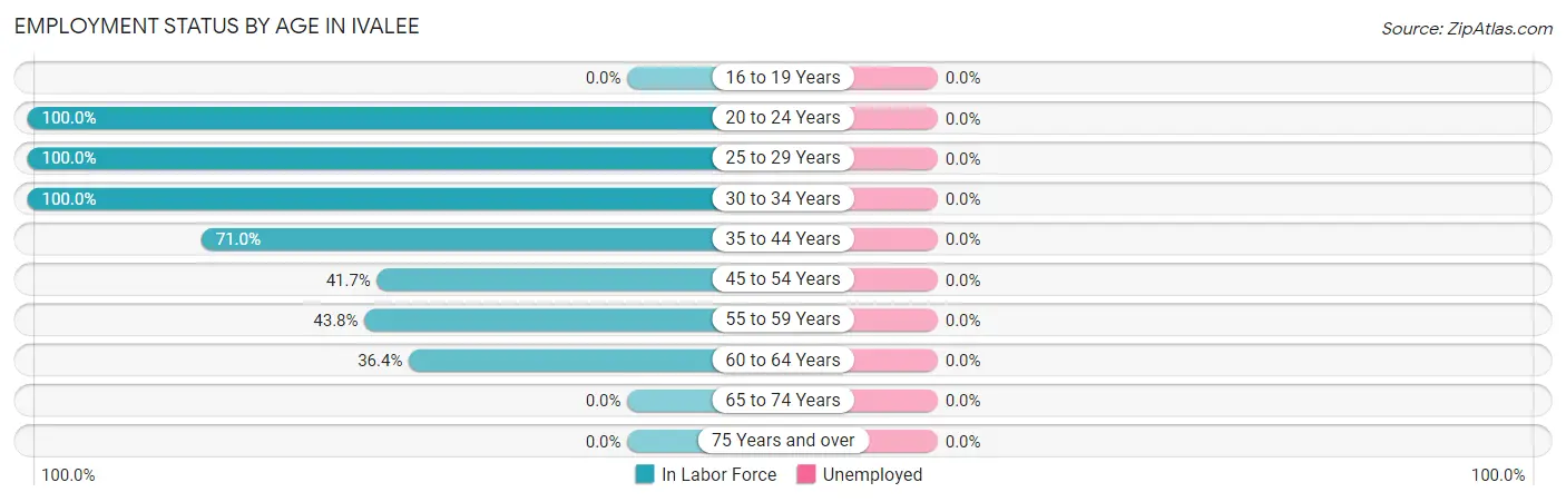 Employment Status by Age in Ivalee