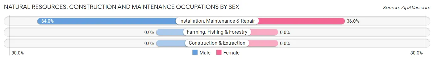 Natural Resources, Construction and Maintenance Occupations by Sex in Joppa