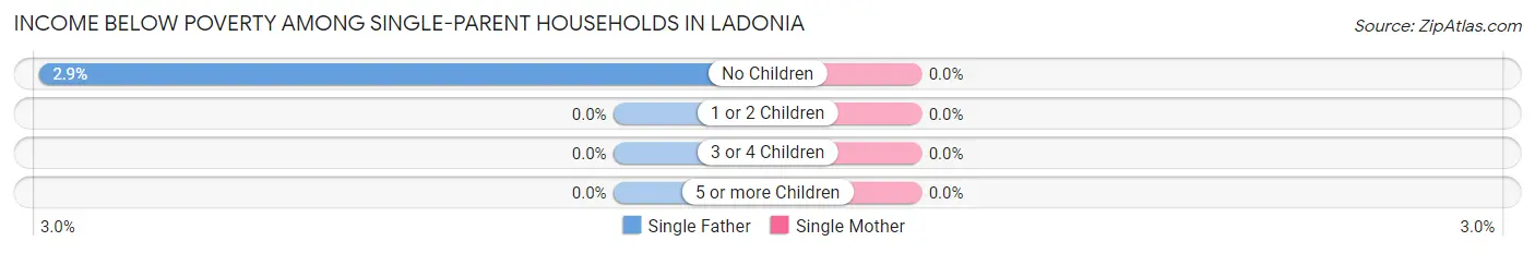Income Below Poverty Among Single-Parent Households in Ladonia