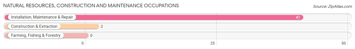 Natural Resources, Construction and Maintenance Occupations in Leesburg