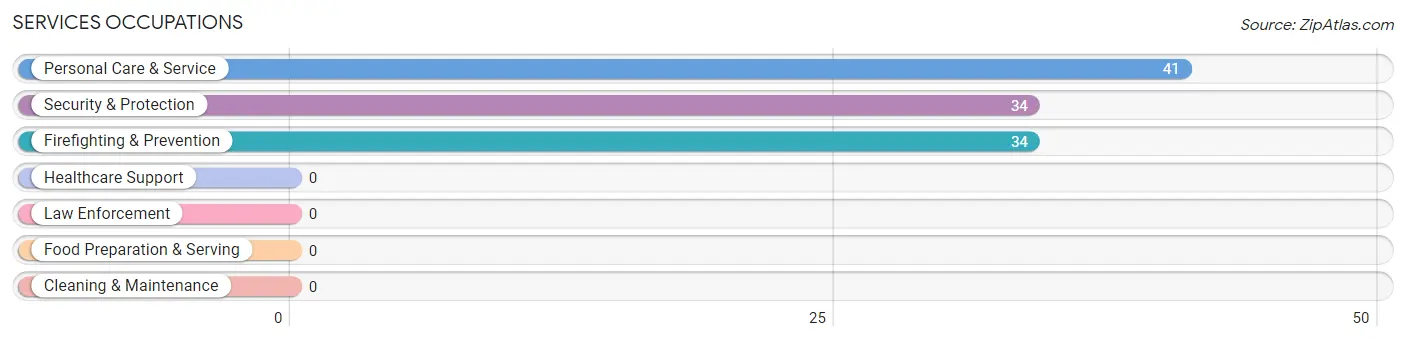 Services Occupations in Leroy