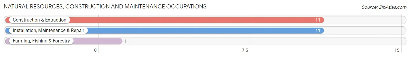 Natural Resources, Construction and Maintenance Occupations in Lester