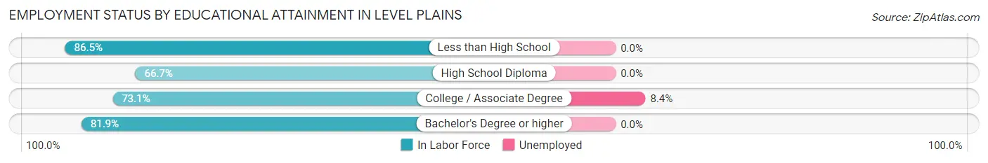 Employment Status by Educational Attainment in Level Plains