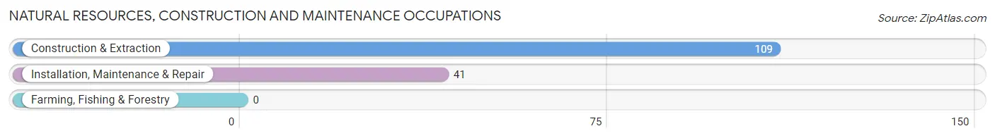 Natural Resources, Construction and Maintenance Occupations in Lillian