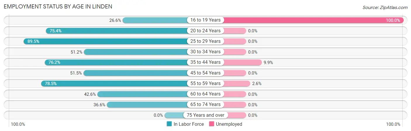 Employment Status by Age in Linden