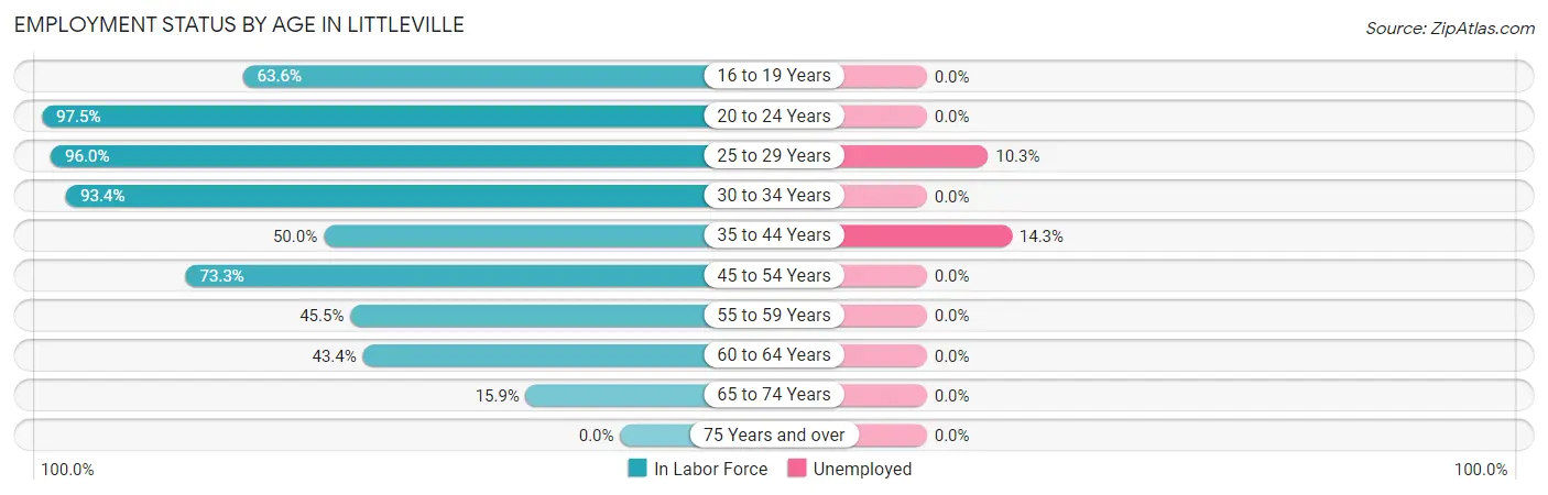Employment Status by Age in Littleville