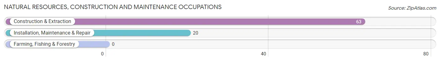 Natural Resources, Construction and Maintenance Occupations in Livingston