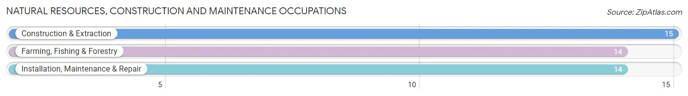 Natural Resources, Construction and Maintenance Occupations in Magnolia Springs