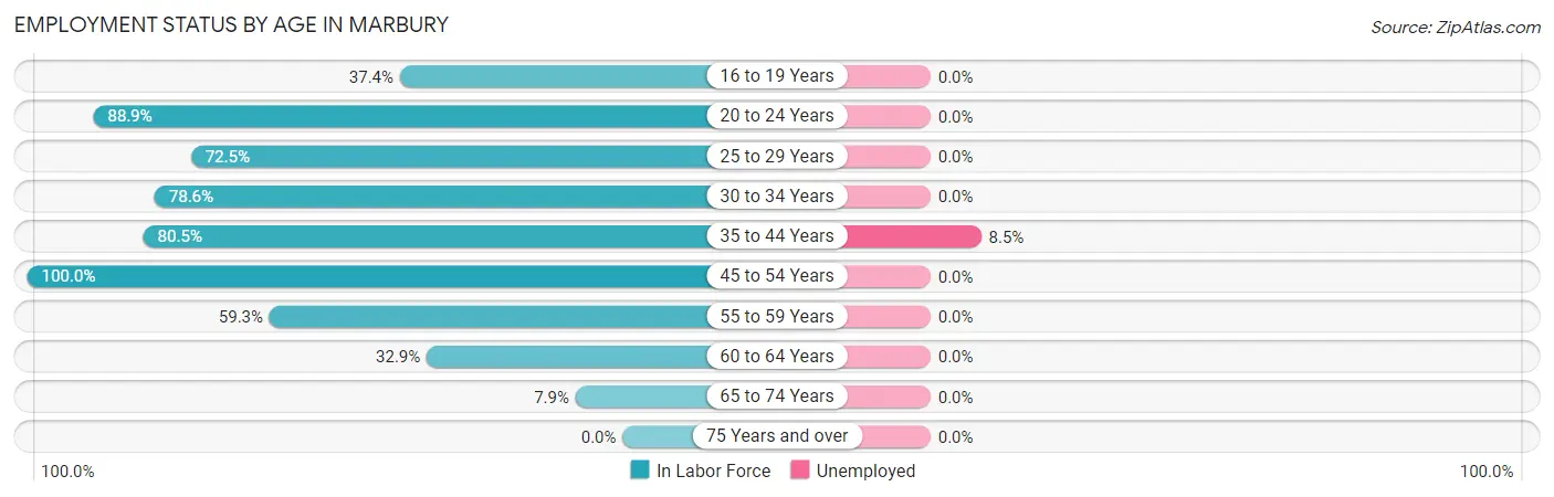 Employment Status by Age in Marbury
