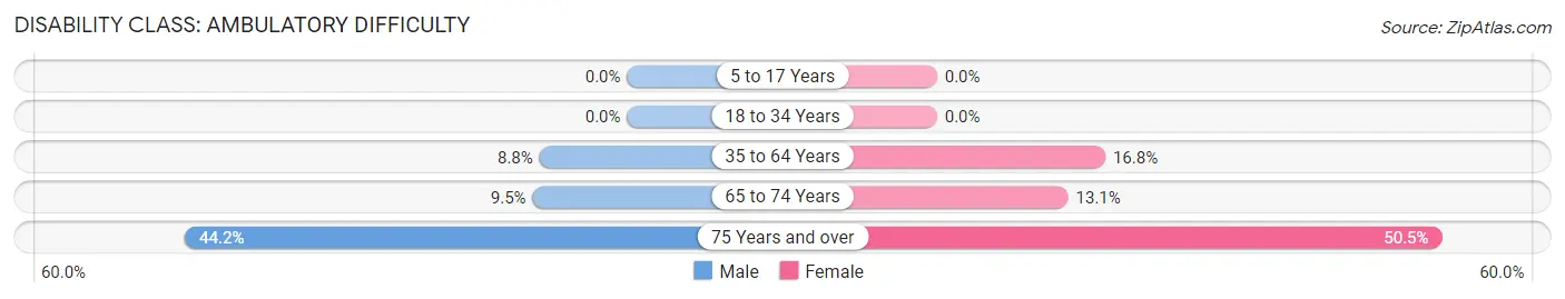 Disability in Margaret: <span>Ambulatory Difficulty</span>