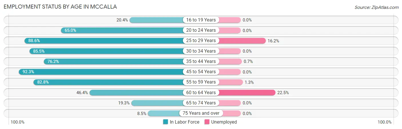 Employment Status by Age in McCalla