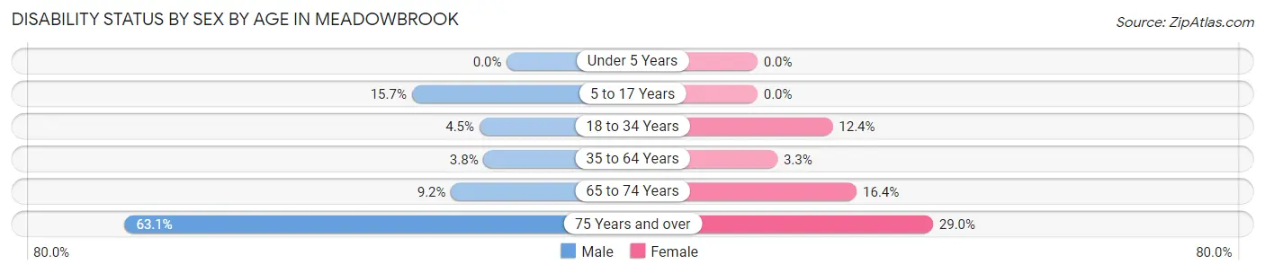 Disability Status by Sex by Age in Meadowbrook