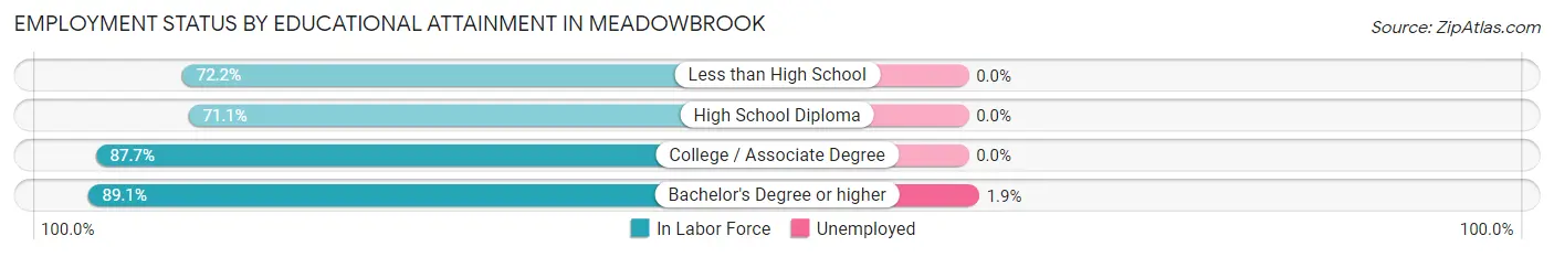 Employment Status by Educational Attainment in Meadowbrook