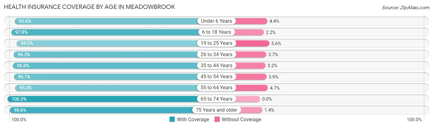 Health Insurance Coverage by Age in Meadowbrook