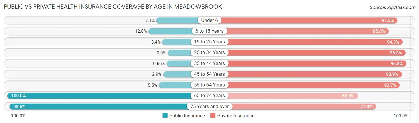 Public vs Private Health Insurance Coverage by Age in Meadowbrook