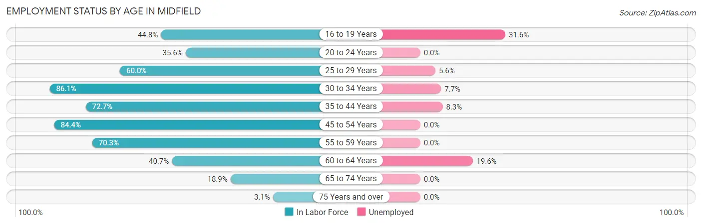 Employment Status by Age in Midfield