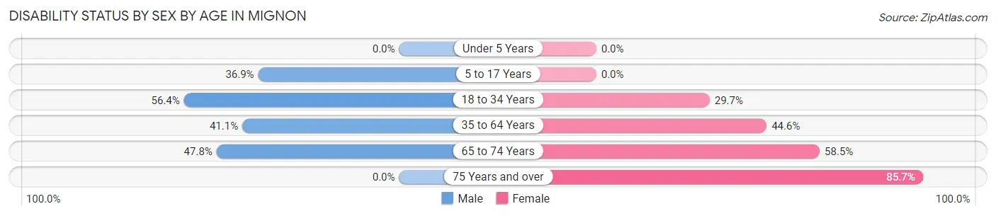 Disability Status by Sex by Age in Mignon