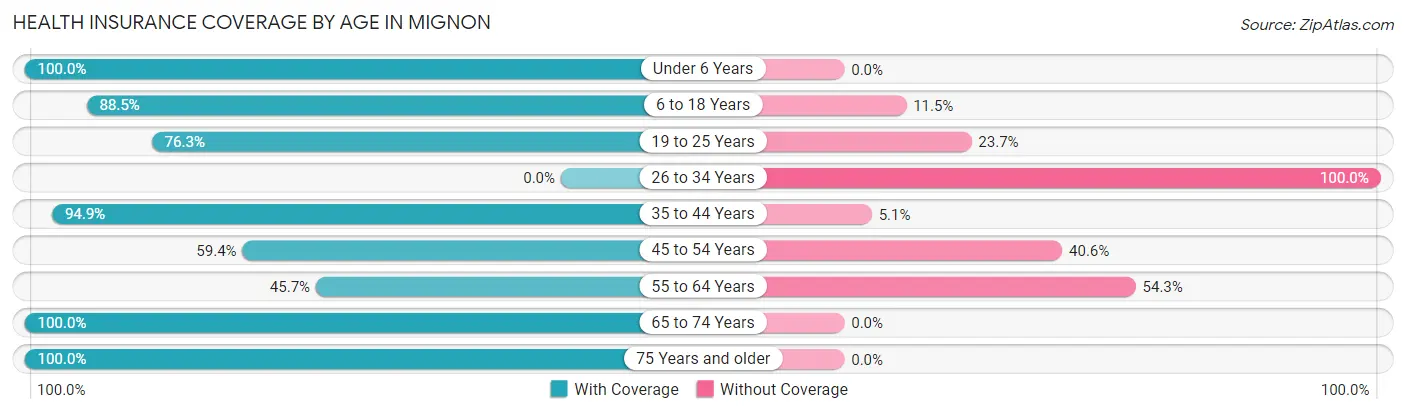 Health Insurance Coverage by Age in Mignon