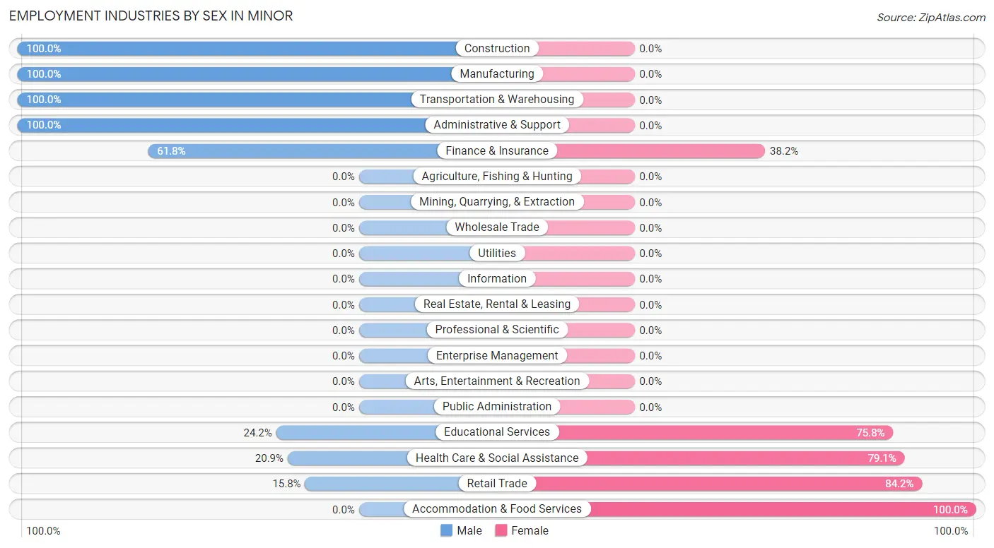 Employment Industries by Sex in Minor