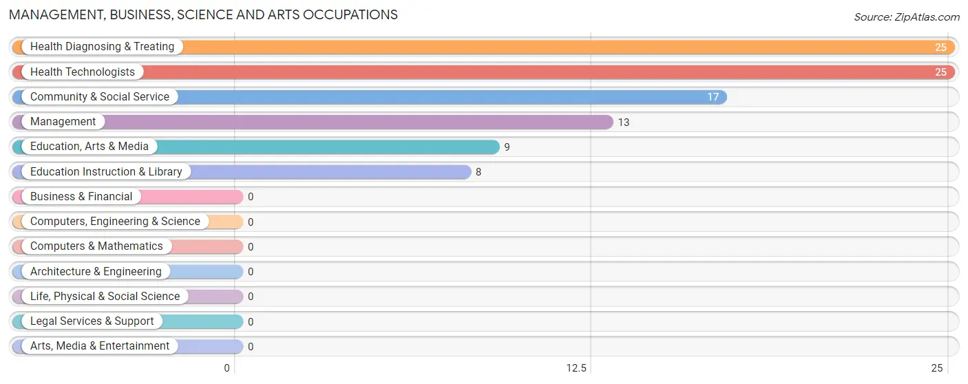 Management, Business, Science and Arts Occupations in Minor