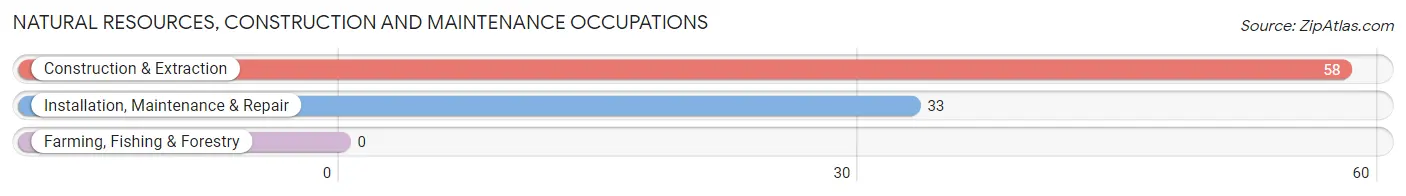 Natural Resources, Construction and Maintenance Occupations in Minor