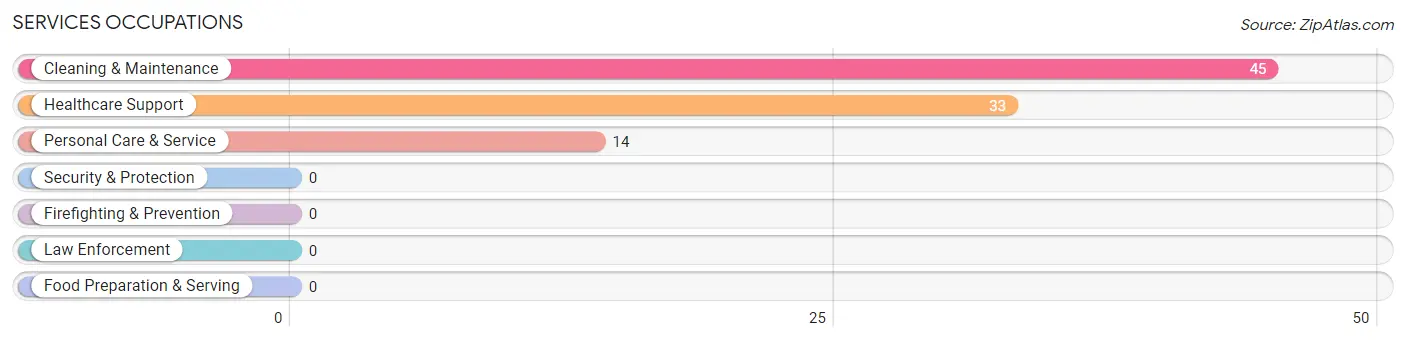 Services Occupations in Minor