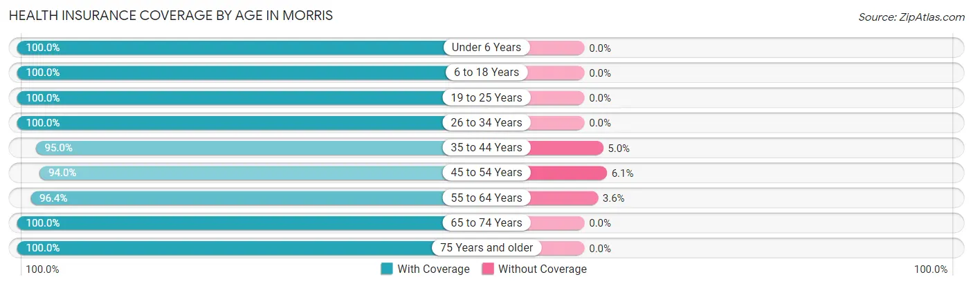 Health Insurance Coverage by Age in Morris