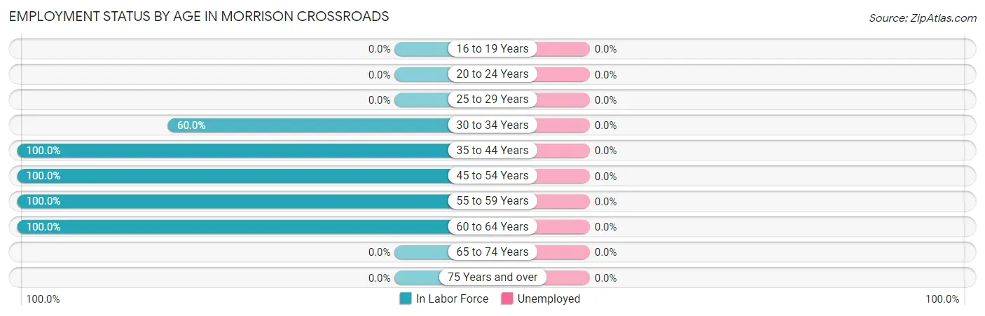 Employment Status by Age in Morrison Crossroads