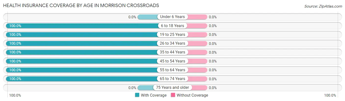 Health Insurance Coverage by Age in Morrison Crossroads