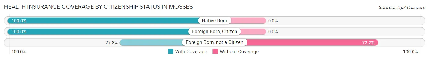 Health Insurance Coverage by Citizenship Status in Mosses
