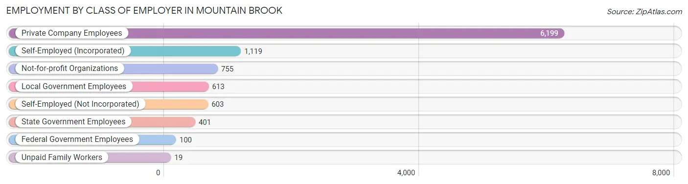 Employment by Class of Employer in Mountain Brook