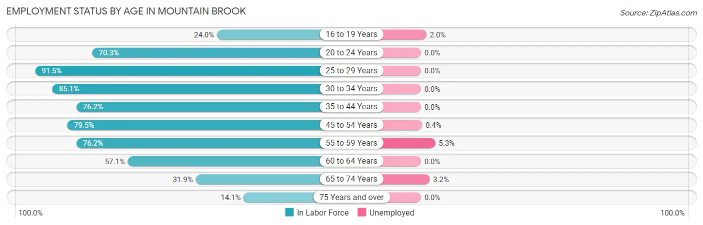 Employment Status by Age in Mountain Brook