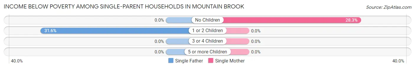 Income Below Poverty Among Single-Parent Households in Mountain Brook