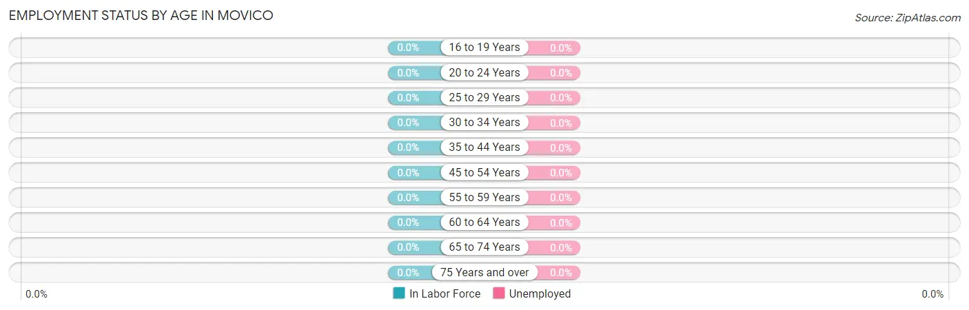Employment Status by Age in Movico