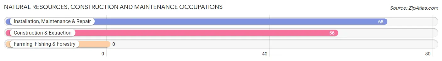 Natural Resources, Construction and Maintenance Occupations in Munford