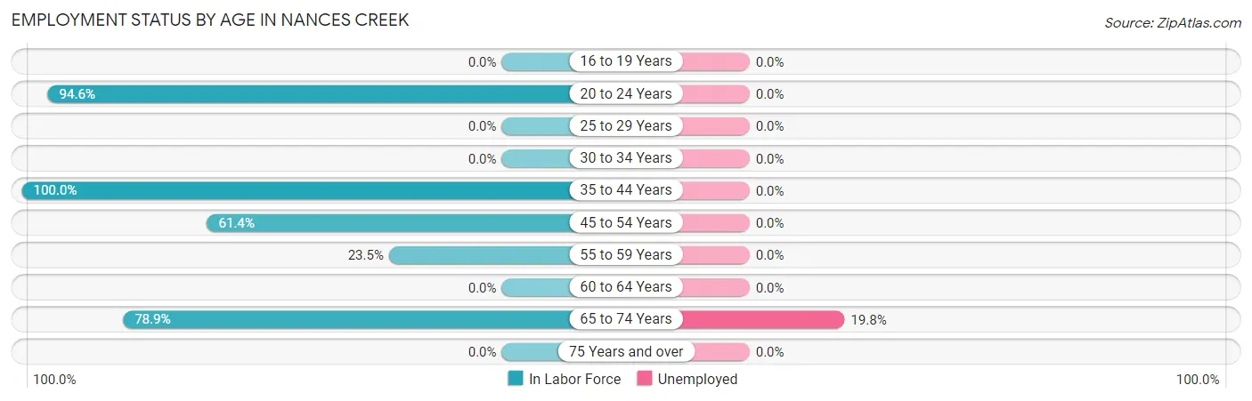 Employment Status by Age in Nances Creek