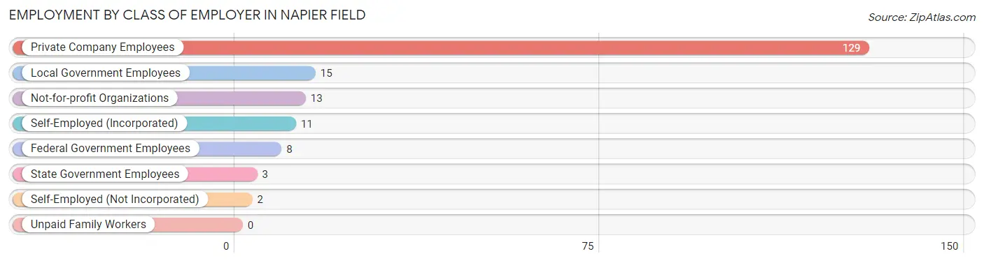 Employment by Class of Employer in Napier Field