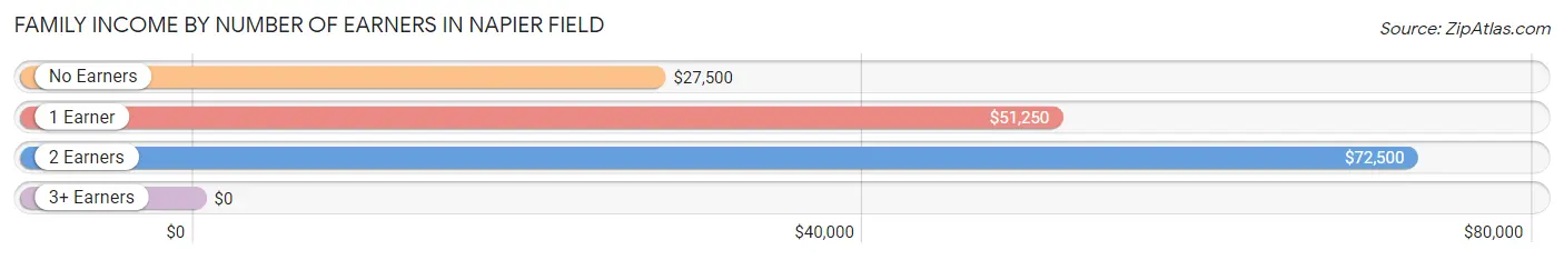 Family Income by Number of Earners in Napier Field