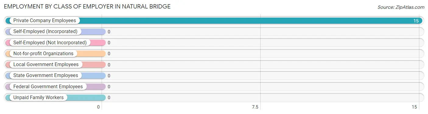 Employment by Class of Employer in Natural Bridge