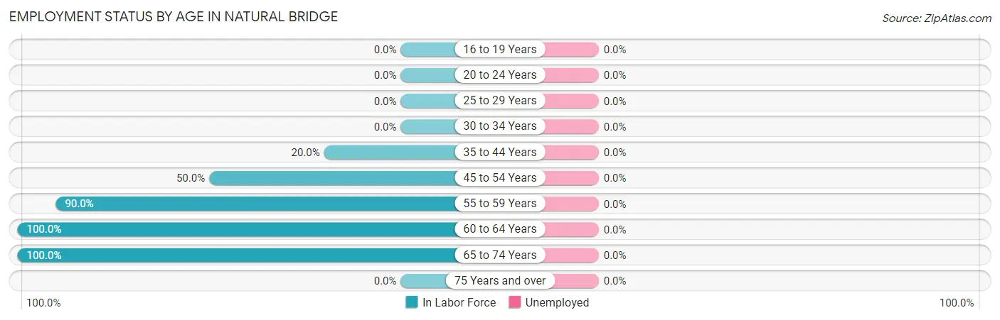 Employment Status by Age in Natural Bridge
