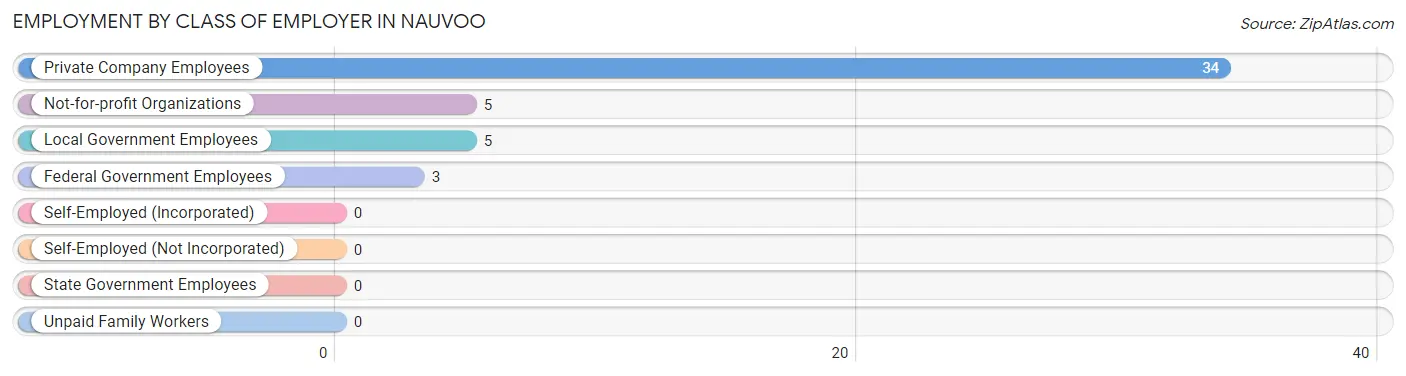 Employment by Class of Employer in Nauvoo